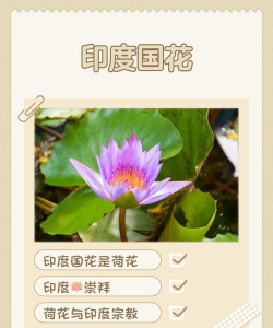 印度国花是什么