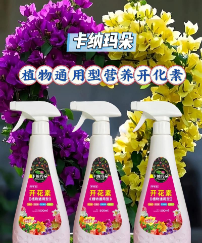 家庭养花用生根粉