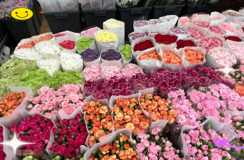 南京花卉市场有哪些