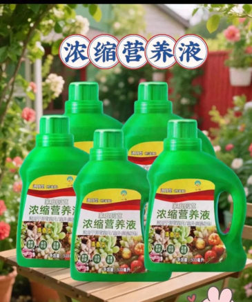 家庭养花用生根粉