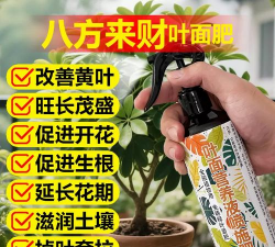 家庭养花用生根粉