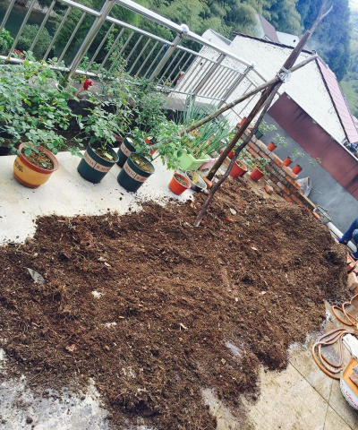 家庭养花用生根粉