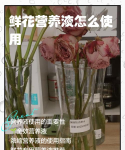 家庭养花用生根粉