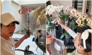 家庭养花用生根粉