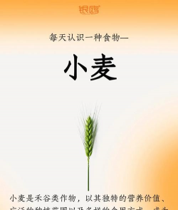 小麦事什么