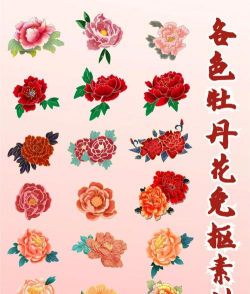 哪些花有哪些颜色