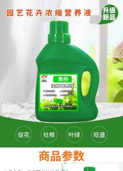 家庭养花用生根粉