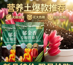 家庭养花用生根粉