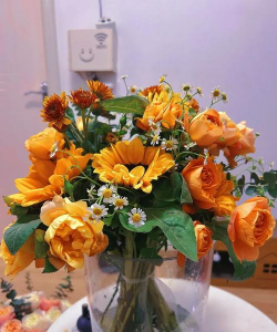 家庭养花用生根粉