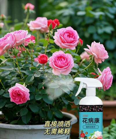 家庭养花用生根粉