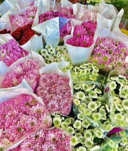 杭州鲜花批发有哪些