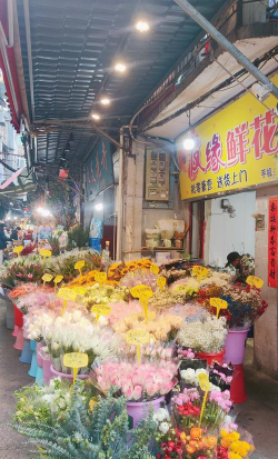 武汉花卉市场有哪些