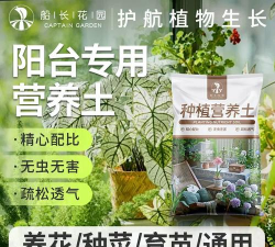 家庭养花用生根粉