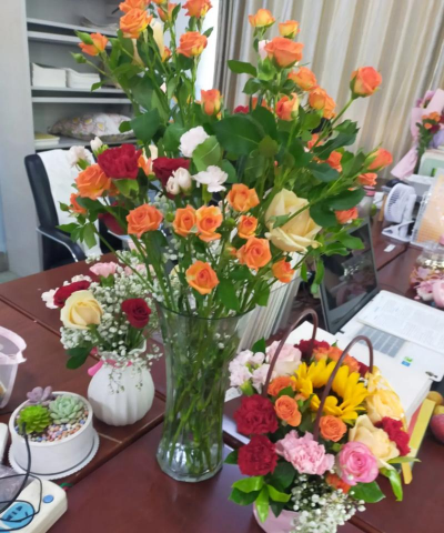 家庭养花用生根粉