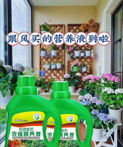 家庭养花用生根粉