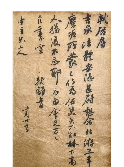 将军养花手札
