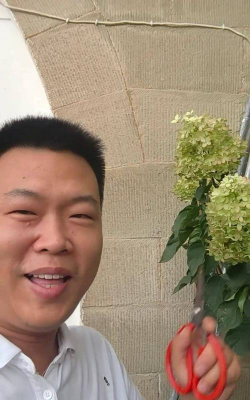 家庭养花用生根粉