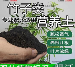 竹子什么土质