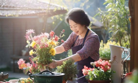 家庭养花用生根粉