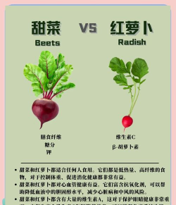 甜菜有哪些名字