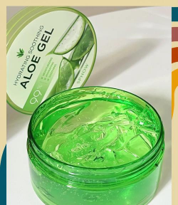 哪些花用芦荟胶