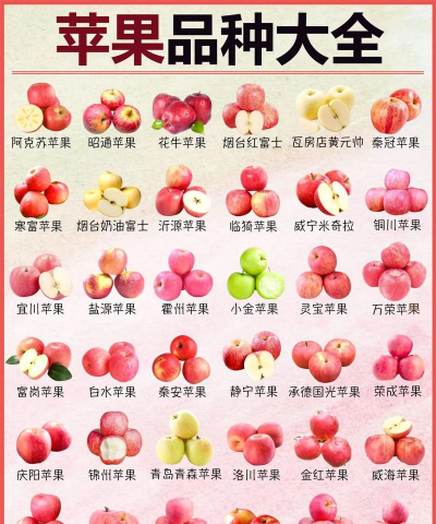 果子的品种有哪些