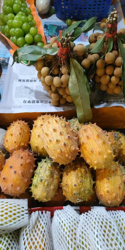 云南哪些水果种不出