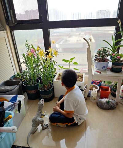 家庭养花用生根粉