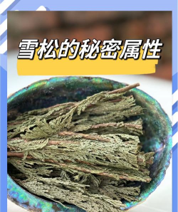 雪松树有哪些药用