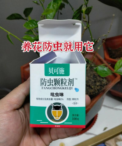 家庭养花用生根粉