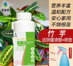 家庭养花用生根粉