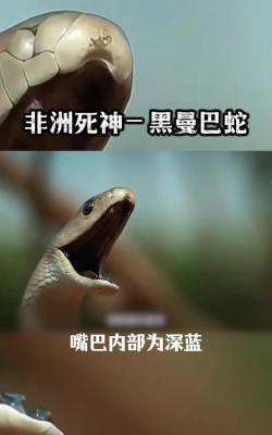 非洲有什么有毒