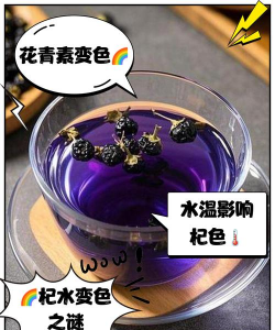 什么植物泡水变黑