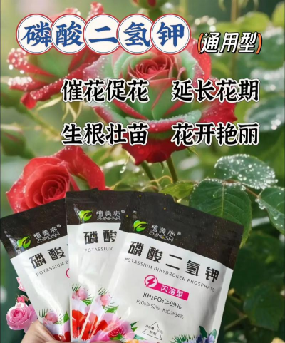 家庭养花用生根粉