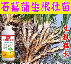 家庭养花用生根粉