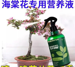 家庭养花用生根粉