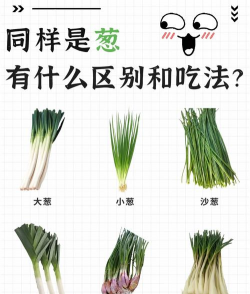 葱有什么技巧