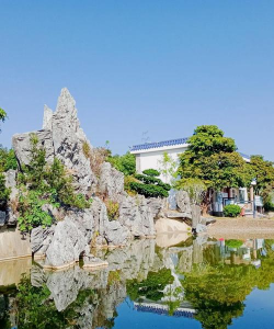 家庭养花用生根粉