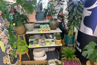 家庭养花用生根粉