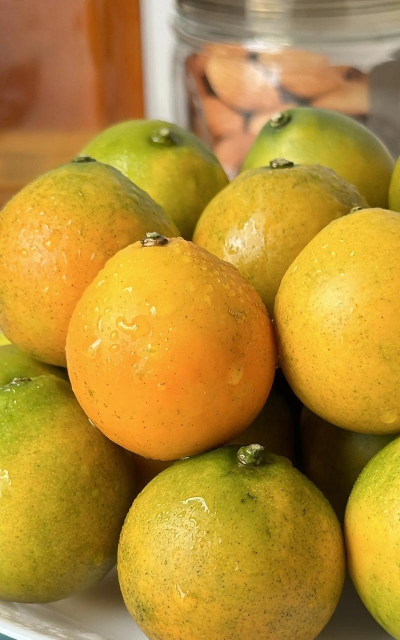 秋天广西有什么果