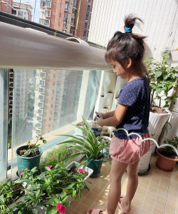 家庭养花用生根粉