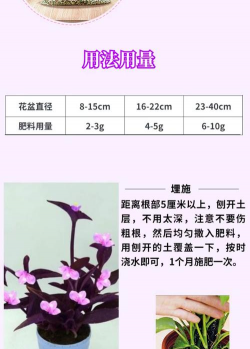 紫竹梅叶用什么肥