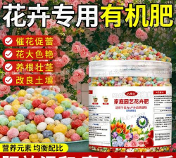 家庭养花用生根粉