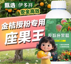 家庭养花用生根粉