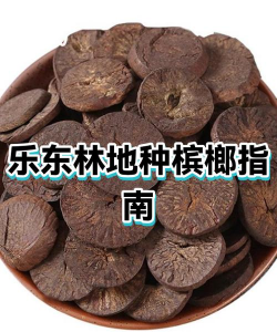 槟榔养殖注意什么证件