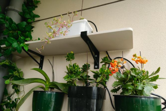 家庭养花用生根粉