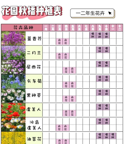 秋季什么时候花