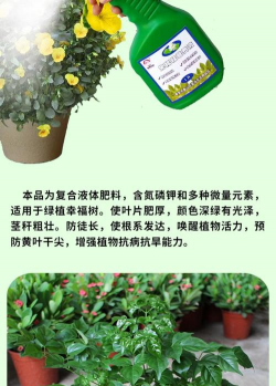 家庭养花用生根粉