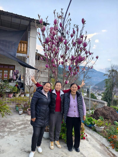 家庭养花用生根粉