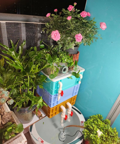 家庭养花用生根粉